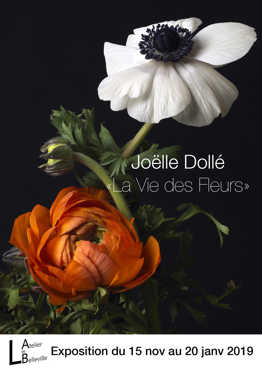 La Vie des Fleurs