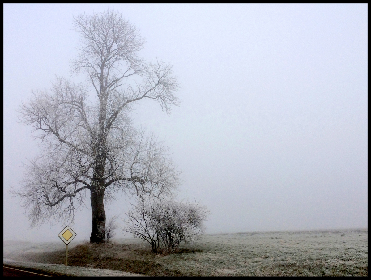 NEIGE sur le SEREIN